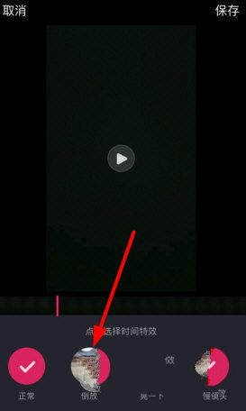 网友发布视频显示，蜗牛壳上有个蜂巢，这是怎么做到的？蜜蜂真的会在蜗牛壳上筑巢吗？